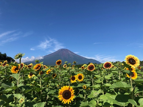 2025/07/27の写真