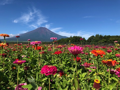 2025/07/27の写真