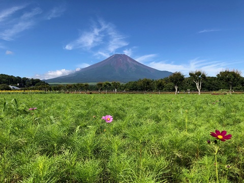 2025/07/27の写真