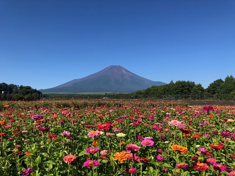 2025/08/02の写真