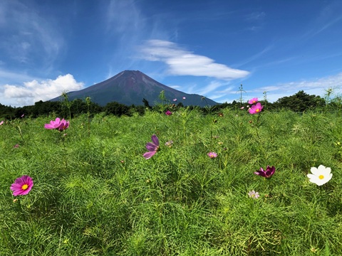 2025/08/02の写真