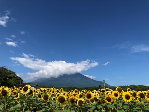 2025/08/06の写真