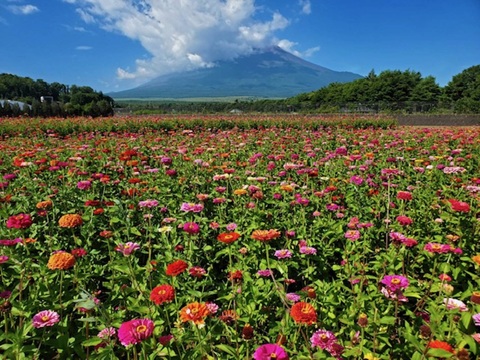 2025/08/06の写真