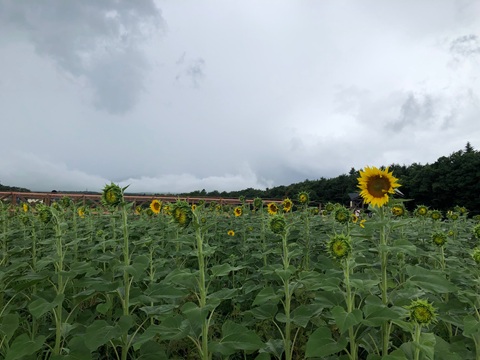 2025/08/10の写真