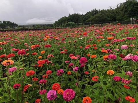 2025/08/10の写真