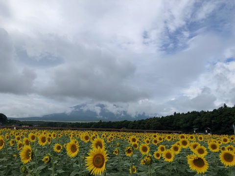 2025/08/13の写真