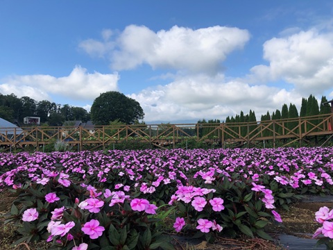 2025/08/17の写真