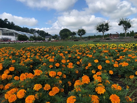 2025/08/17の写真