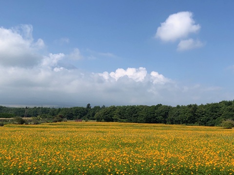 2025/08/26の写真