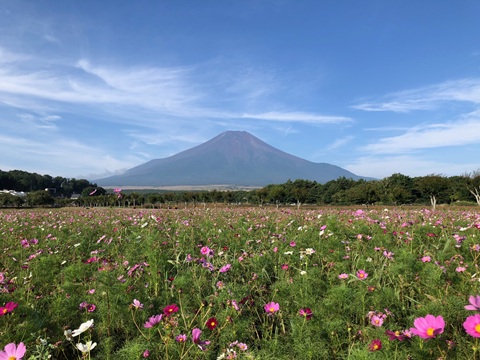 2025/08/29の写真