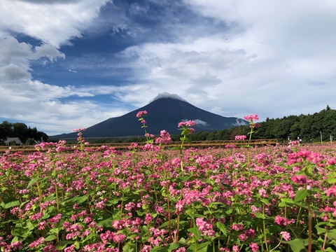 2025/09/14の写真