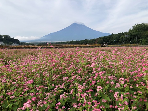 2025/09/18の写真