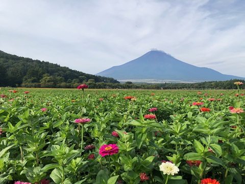 2025/09/18の写真
