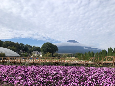 2025/09/23の写真