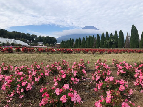 2025/09/23の写真