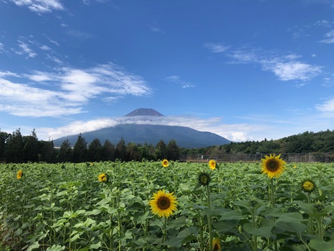 2025/09/23の写真