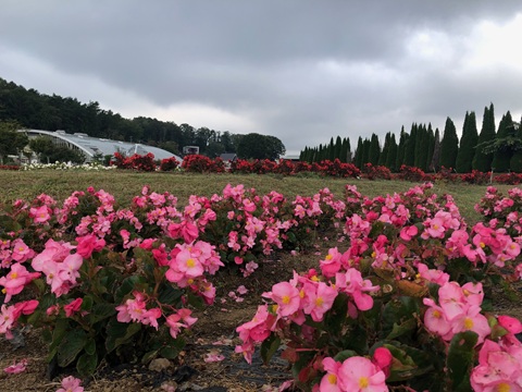 2025/09/27の写真