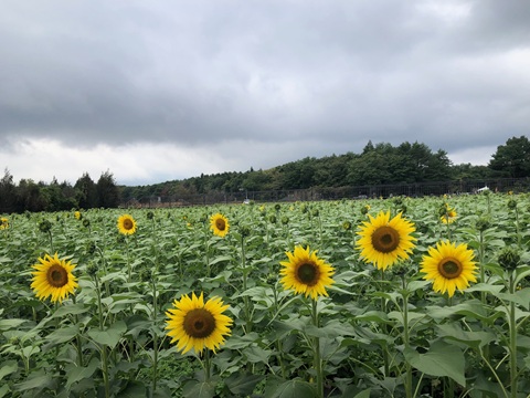 2025/09/27の写真