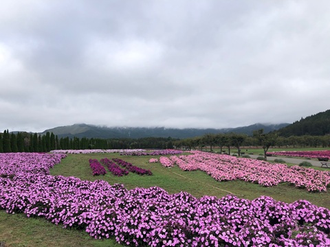 2025/10/05の写真