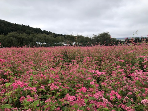 2025/10/05の写真