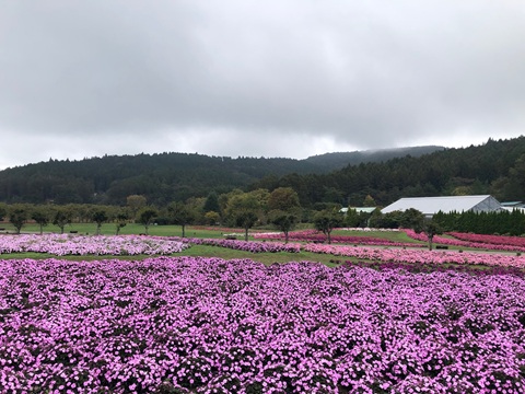 2025/10/10の写真