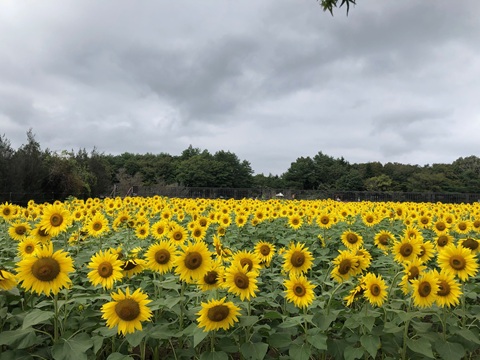 2025/10/10の写真