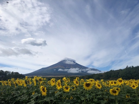 2025/10/12の写真