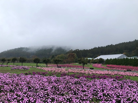 2025/10/22の写真