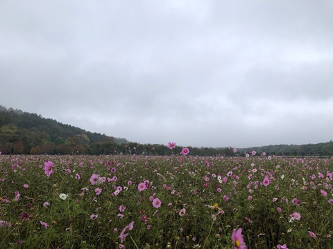 2025/10/22の写真