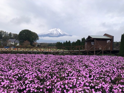 2025/10/23の写真