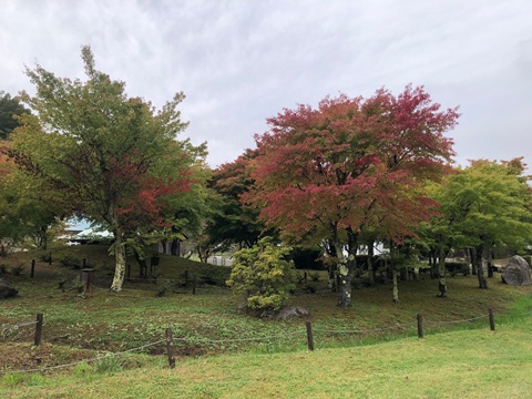 2025/10/23の写真