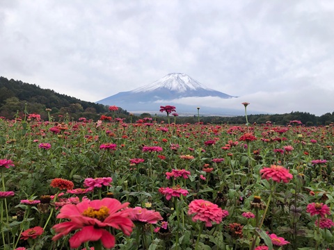 2025/10/23の写真
