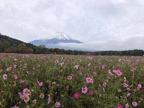 2025/10/23の写真