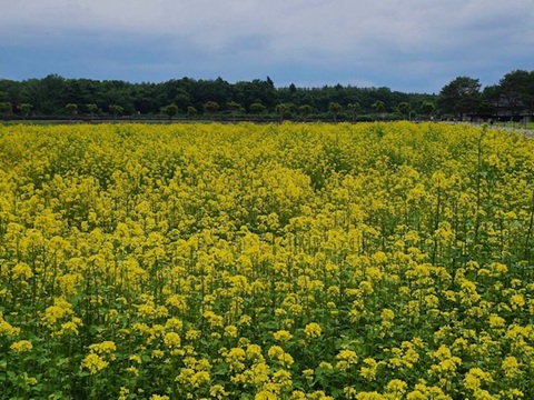 2026/06/14の写真