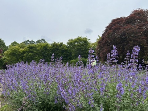 2026/06/14の写真