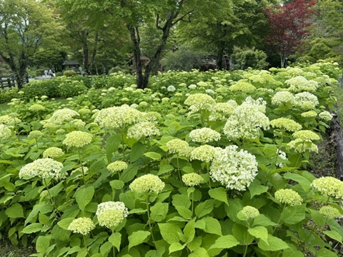 2026/06/28の写真