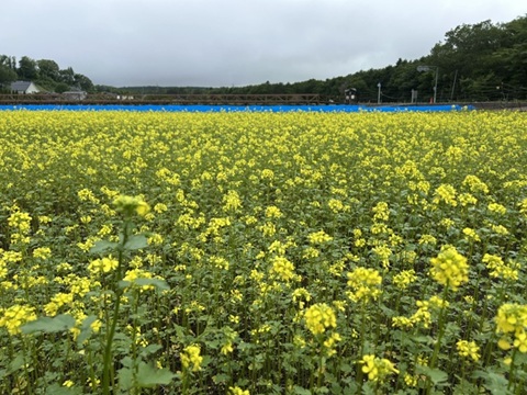 2026/06/28の写真