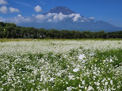 2026/07/09の写真