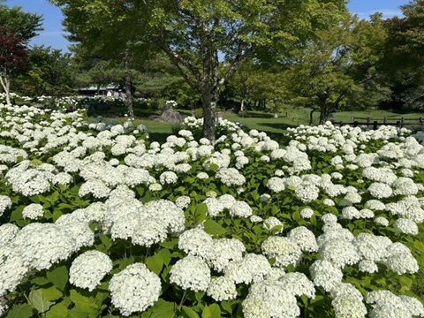 2026/07/25の写真