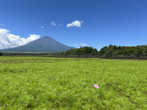 2026/07/25の写真