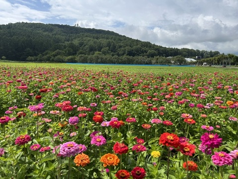 2026/07/27の写真