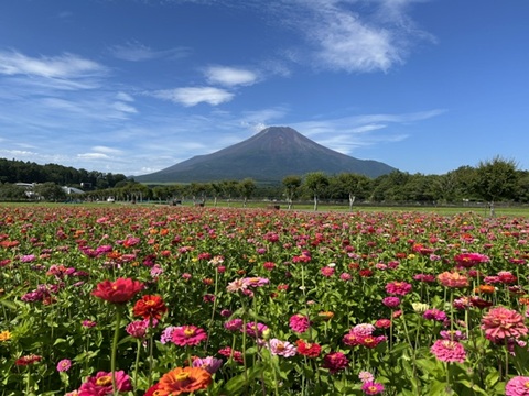 2026/07/30の写真