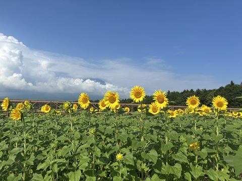 2026/08/02の写真