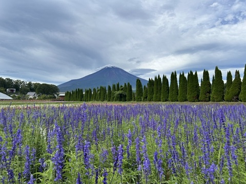 2026/08/28の写真