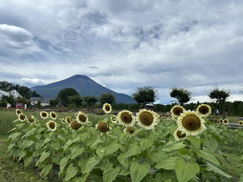 2026/08/28の写真