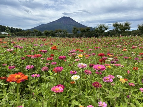 2026/08/28の写真