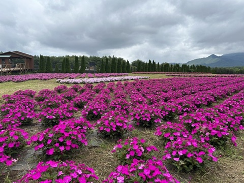 2026/09/01の写真