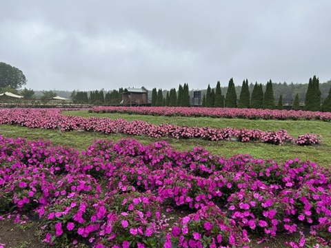 2026/09/10の写真