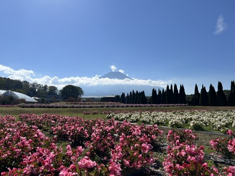 2026/10/12の写真