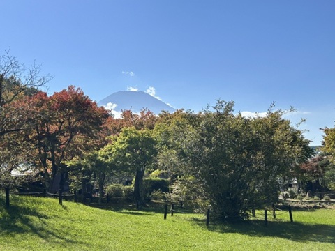2026/10/12の写真